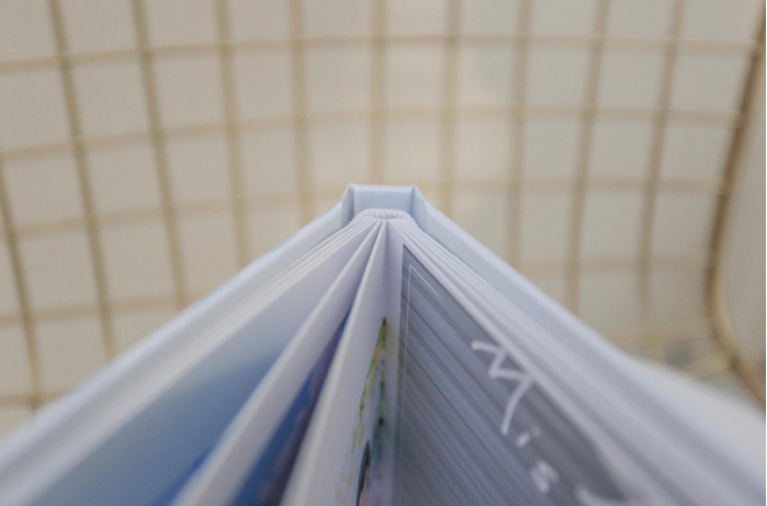 蝴蝶精裝書